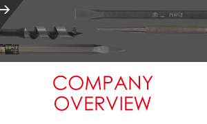 COMPANY OVERVIEW